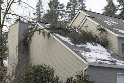 Emergency tree removal from roof in Peoria, Arizona after storm