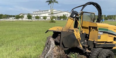 Stump grinding machine removing a tree stump in Peoria, Arizona